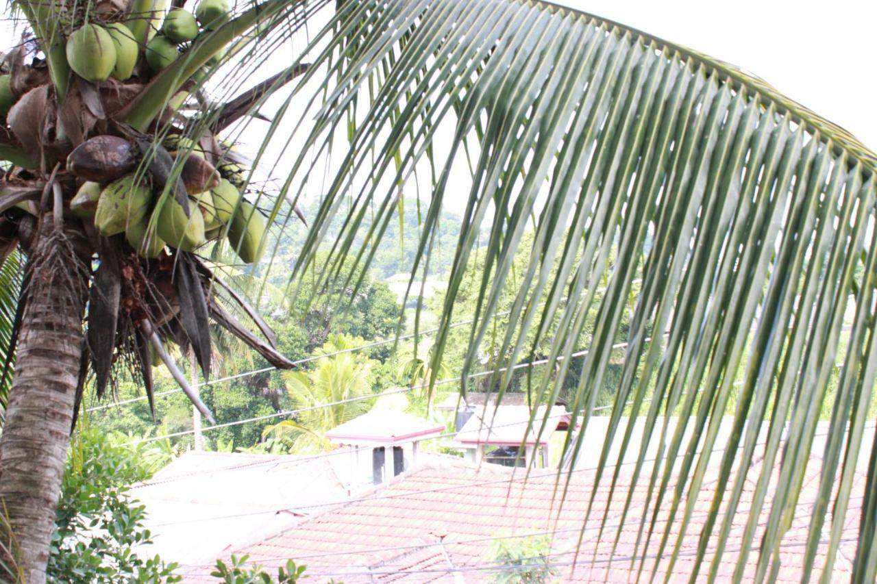 Resident View Homestay Kandy Exteriér fotografie